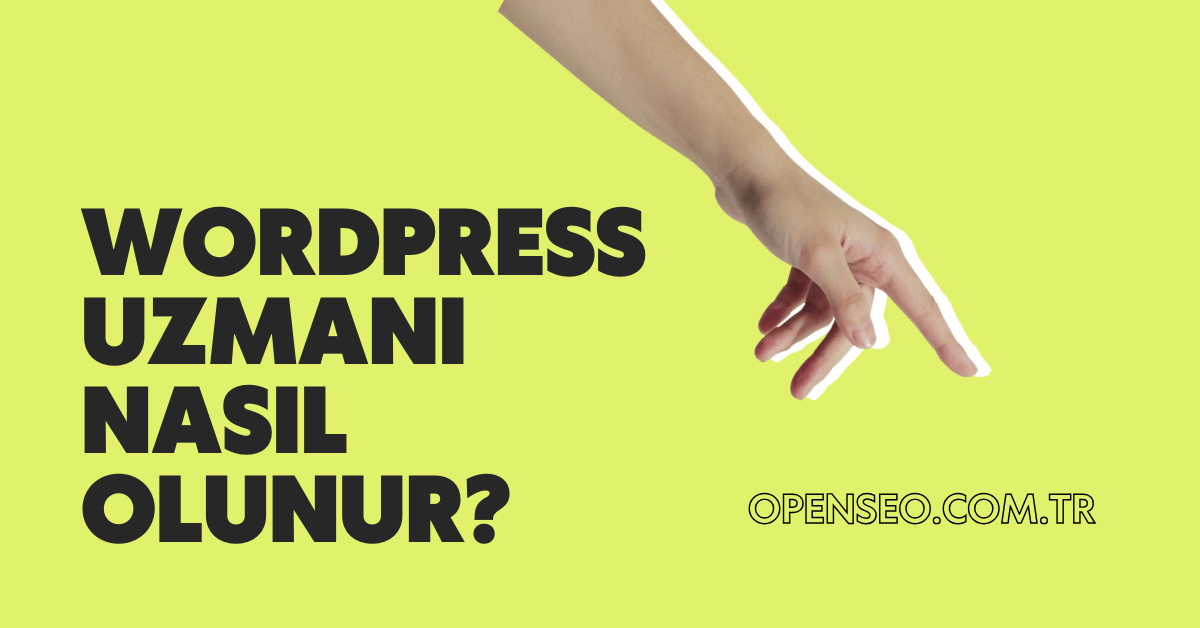 Wordpress Uzmanı Nasıl Olunur